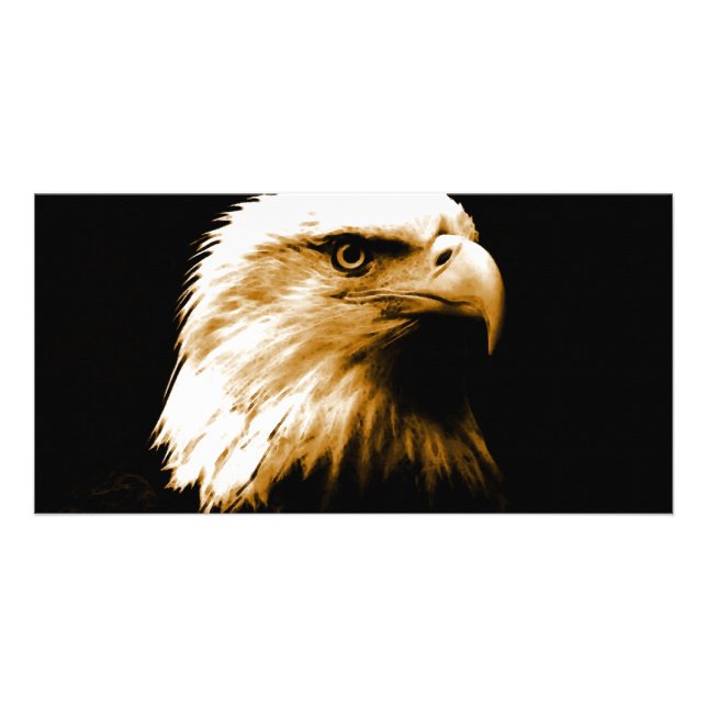 Bald Eagle Card (Front)