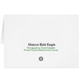 Bald Eagle Card (Back Horizontal)