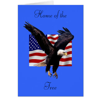 Bald Eagle Cards