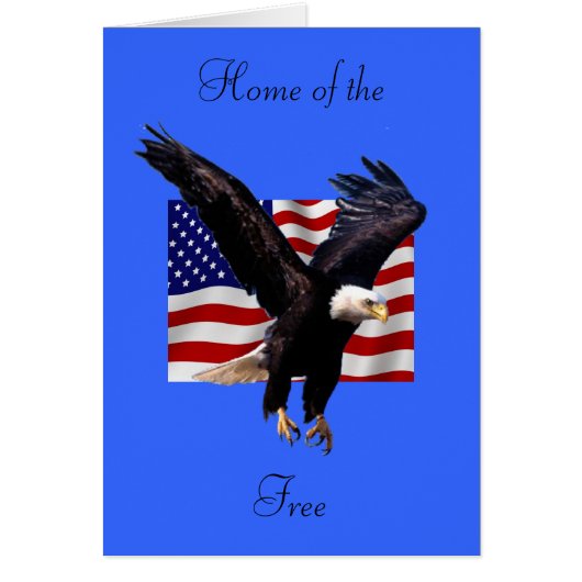 Bald Eagle Cards (Front)