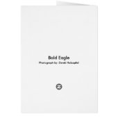 Bald Eagle - cards (Back)