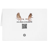 Bald Eagle Cards (Back Horizontal)