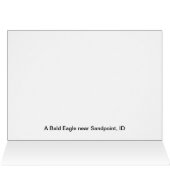 Bald Eagle Cards (Inside Horizontal (Top))