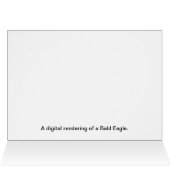 Bald Eagle Cards (Inside Horizontal (Top))