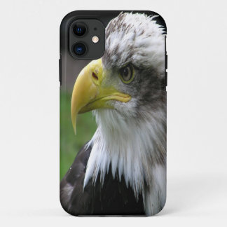 Bald Eagle iPhone 11 Case