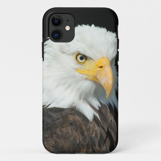 Bald Eagle Case-Mate iPhone Case (Back)