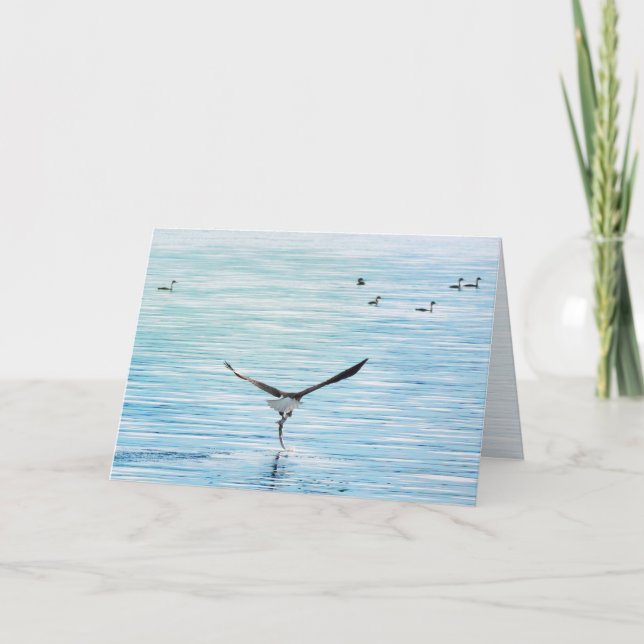 Bald Eagle Catching Salmon All Occasion Blank Holiday Card (Front)
