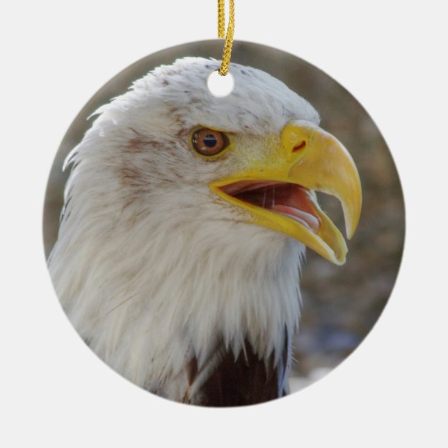 Bald Eagle Ceramic Ornament (Front)
