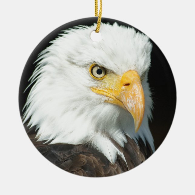 Bald Eagle Ceramic Ornament (Front)