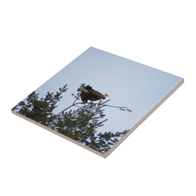 Bald Eagle Ceramic Tile (Side)
