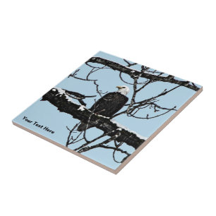 Bald Eagle Ceramic Tile