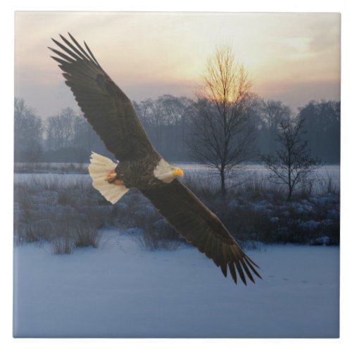 BALD EAGLE CERAMIC TILE