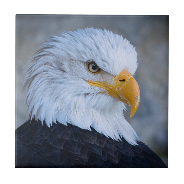 BALD EAGLE CERAMIC TILE (Front)