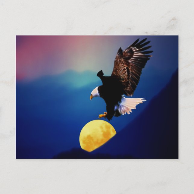 Bald eagle chases the full moon postcard (Front)