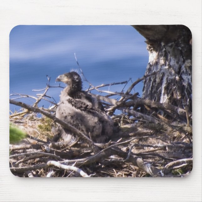 Bald Eagle Chick - Mouse Pad (Front)