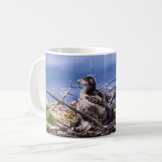 Bald Eagle Chick - Mugs (Front Left)
