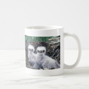 Bald Eagle Chicks Coffee Mug