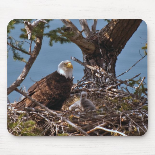 Bald Eagle Chicks - Mousepad (Front)