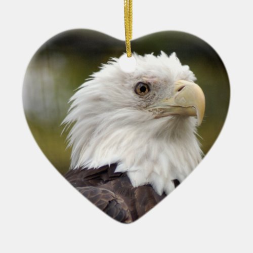 Bald Eagle Christmas Ornament