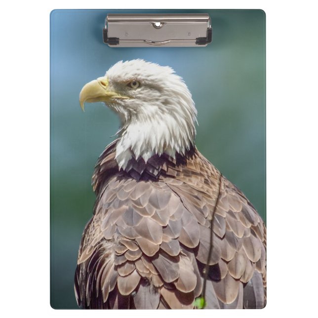 Bald Eagle Clipboard (Front)