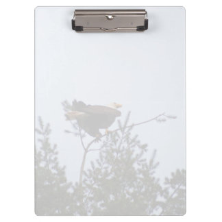 Bald Eagle Clipboard