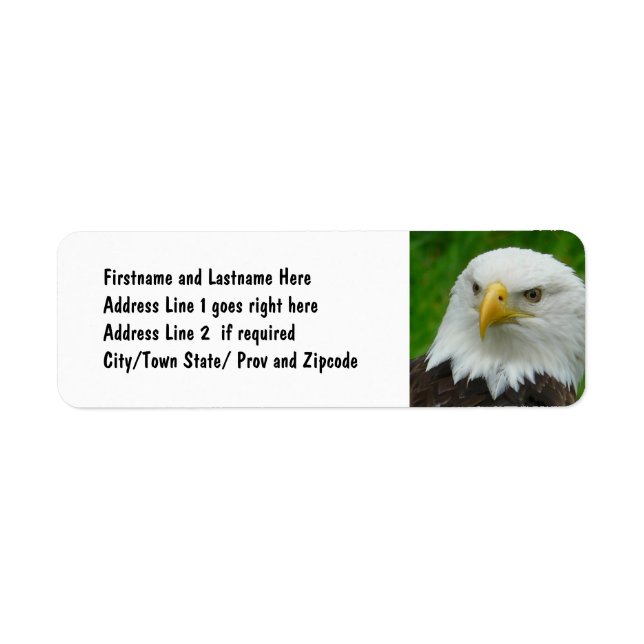 Bald Eagle - Close up Wild Eagle Photo Label (Front)