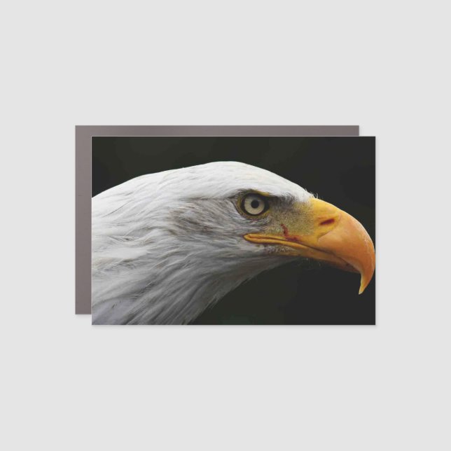 Bald Eagle cmcna Car Magnet (Front)