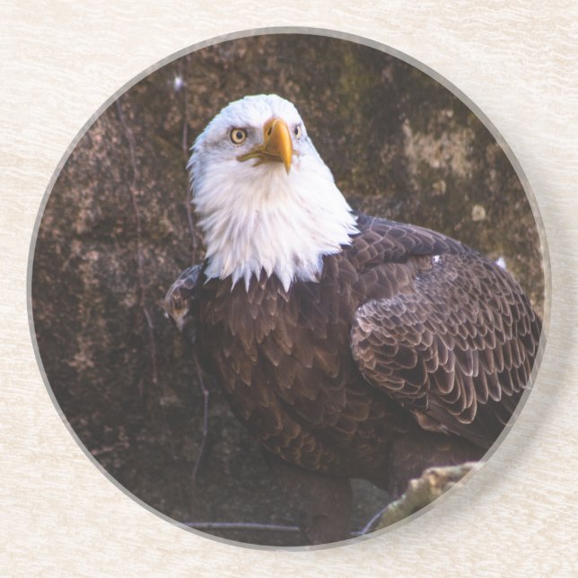 Bald Eagle Coaster (Front)