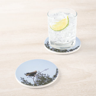 Bald Eagle Coaster