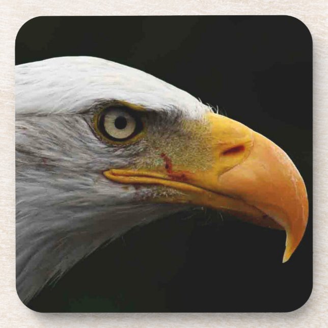 Bald Eagle coastercna Beverage Coaster (Front)