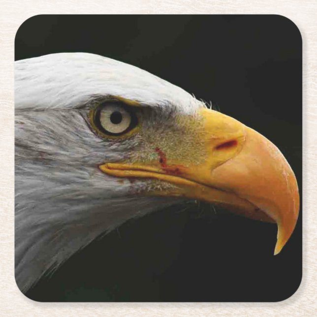 Bald Eagle coasterm Square Paper Coaster (Front)