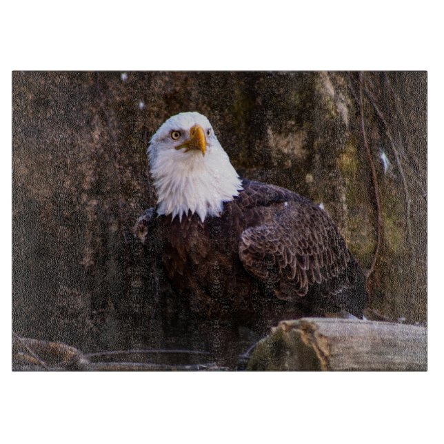 Bald Eagle Cutting Board (Front)