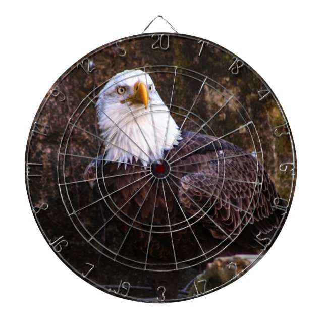 Bald Eagle Dart Board (Front)