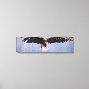 Bald Eagle Daytime Hunting Over Lake Canvas Print