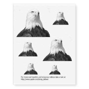 unique eagle designs