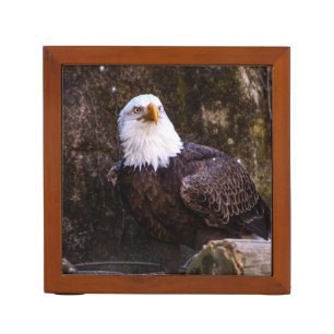 Bald Eagle Desk Organizer