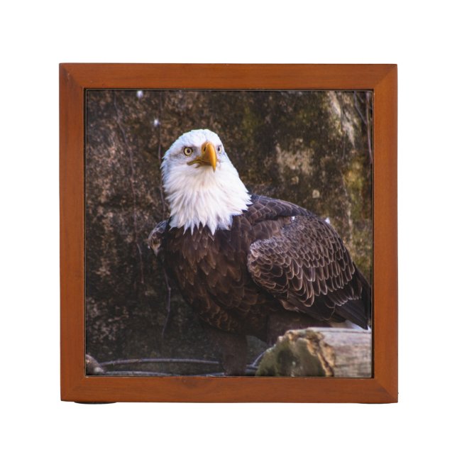 Bald Eagle Desk Organizer (Front)