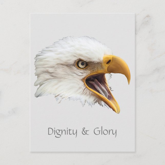 Bald Eagle Dignity & Glory customizable Postcard (Front)