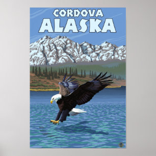 Bald Eagle Diving - Cordova, Alaska Poster