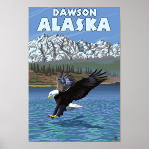 Bald Eagle Diving - Dawson, Alaska Poster