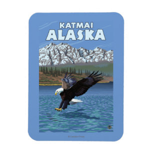 Bald Eagle Diving - Katmai, Alaska Magnet