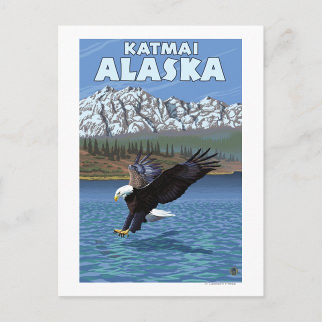 Bald Eagle Diving - Katmai, Alaska Postcard (Front)