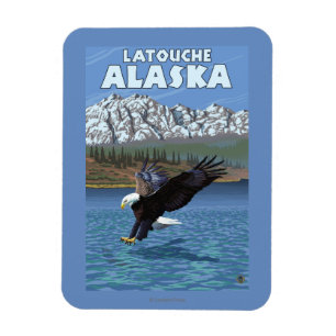 Bald Eagle Diving - Latouche, Alaska Magnet