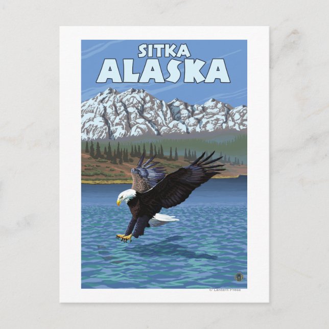 Bald Eagle Diving - Sitka, Alaska Postcard (Front)