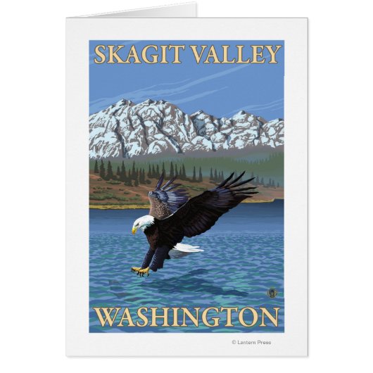Bald Eagle Diving - Skagit Valley, Washington (Front)