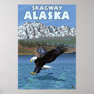 Bald Eagle Diving - Skagway, Alaska Poster