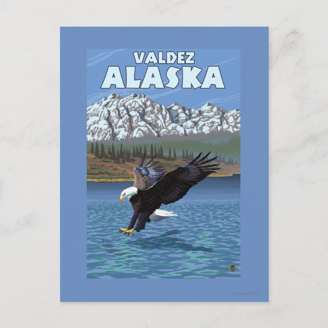 Bald Eagle Diving - Valdez, Alaska Postcard (Front)