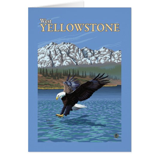 Bald Eagle Diving - West Yellowstone, MT (Front)