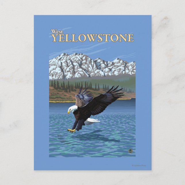 Bald Eagle Diving - West Yellowstone, MT Postcard (Front)