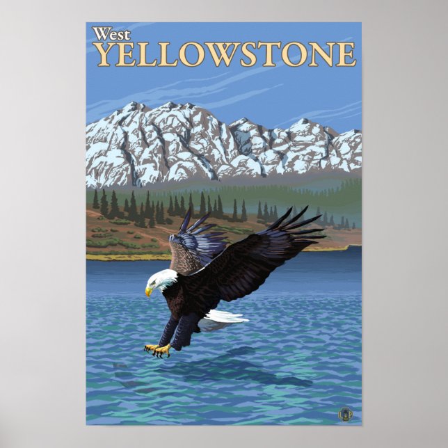 Bald Eagle Diving - West Yellowstone, MT Poster (Front)